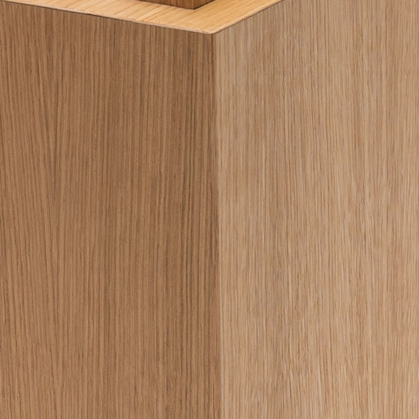 hedgehock eiche detail